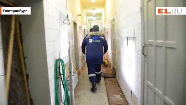 В Екатеринбургском зоопарке дикобразы переехали в новый вольер смотреть онлайн