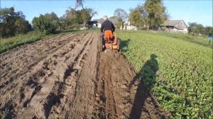 Картофелекопалка веерная и транспортёрная.