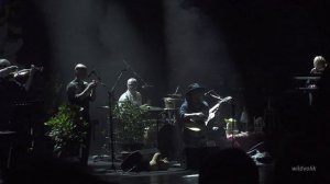 "Никто из нас не выйдет отсюда живым". БГ+/Аквариум, концерт в Тбилиси 27.04.2023.