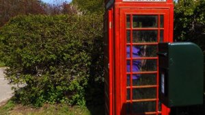 Alison's K6 Telephone Box, Cheryl Camm