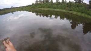 Мормышинг (Mormishing) XUL Fishing, Лещ 04.06.2016