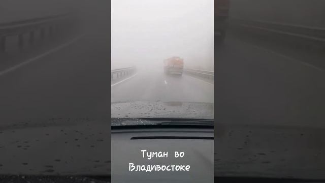 Специалист по строительству ЛЭП едет по Владивосток в тумане.