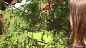 Ярослав Сумишевский - для дочери