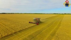 "ОКТЯБРЬСКИЙ РАЙОН" поёт Александр Мацера в гостях у "Митрофановны" трогает до глубины души