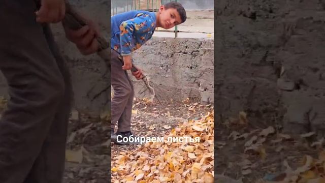 Собираем листья #осень #Boev-Hokim #листыдляхранения смотреть онлайн