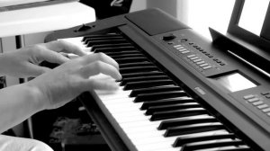Yamaha Piaggero NP-V60 "Dual" effect demo
