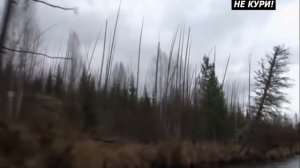 Охота на изюбря на реке Илим