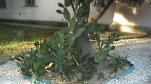 Евпатория. Ул. Дувановская