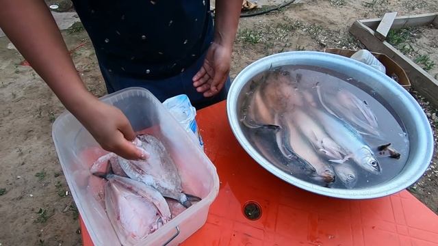 Балык из селедки. Простой рецепт. Астраханская селедка быстро и вкусно!