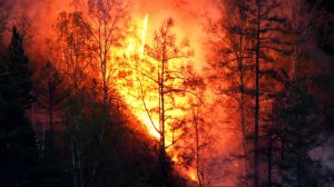 Природный пожар на Домбае охватил 15 гектаров, туристов эвакуируют