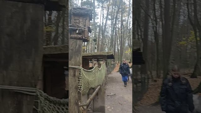 Прогулка по Динопарку