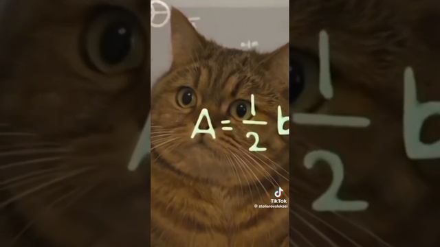 1000000853.mp4