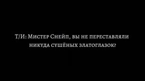 "Покажи мне счастье". История-фанфик (Т/И и Северус). серия 6. Взаимоотношения с Северусом.