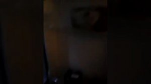 Обзор номера в отеле Rixos Bab Al Bahr.