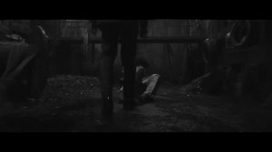 T O X I C | Multimale