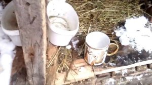 Как правильно поить кроликов зимой Можно ли давать кроликам снег