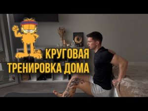 Как Тренироваться Дома? Базовая Круговая Тренировка Дома