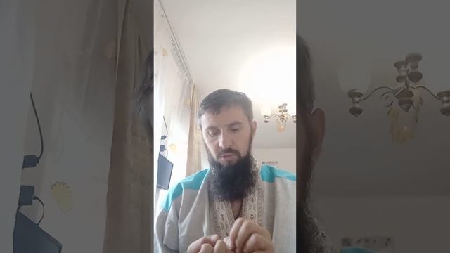 09 10 2022 Знания Менора