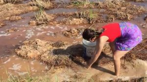 Удивительные Красивые девушки рыбалка в Баттамбанг Камбоджа Традиционное рыболовство (# 3)