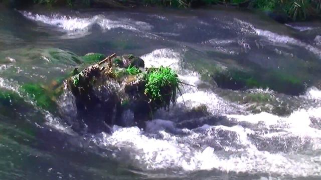 Зарядка воды звуками природы.Шум воды.Пение птиц.