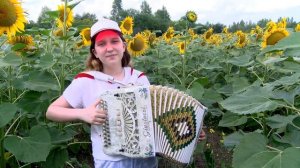 Алина песня ( Летят перелетные птицы ) на гармони