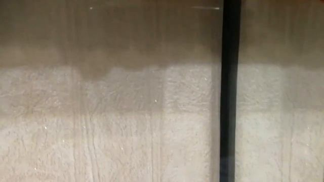 Гуппи чистая линия Молдавская вишня смотреть онлайн