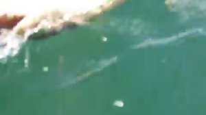 Байкал, Малое море, залив Шида. 8 августа 2011 года.