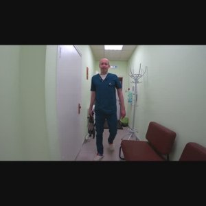 Стоматолог на работе