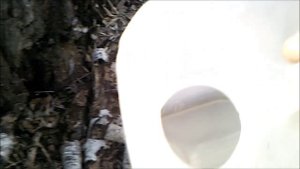 шашлык из молодого поросенка!