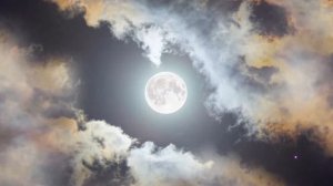 Планета Солнце ☀️