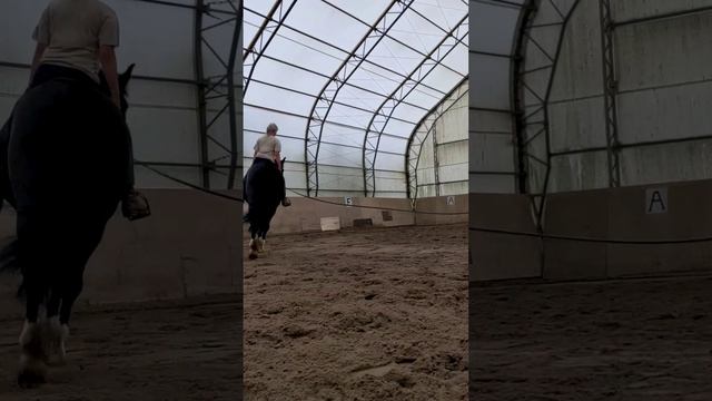 Не смогла не сделать веселую мотивационную видюшку. ?