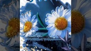 Ты придёшь ко мне во сне