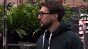 КОМНАТНЫЕ РАСТЕНИЯ в ВАШЕМ доме! Это должен знать каждый!