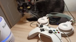 Как превратить геймпад XBox One S в звуковую карту ?