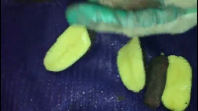 Открываем новый склад: Лабелла, Ред Скарлет. смотреть онлайн