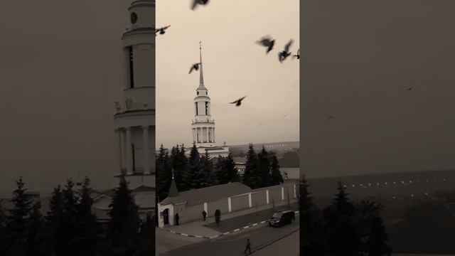 Предновогоднее утро в волшебном городе Задонск - 27.12.2019