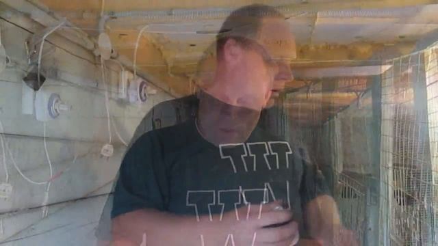 Витамины для поросят и других с/животных//как поставить укол поросенку смотреть онлайн