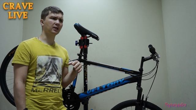 Обзор велосипеда VELTORY 202 PANGOLINS (2019) и сравнение с VELTORY PANGOLINS (2018) смотреть онлайн