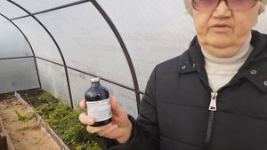 Обработка теплицы осенью. Все секреты быстрой и безвредной обработки теплиц.