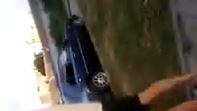 Пчела поедает рыбу смотреть ВСЕМ Видео лето 2018 смотреть онлайн