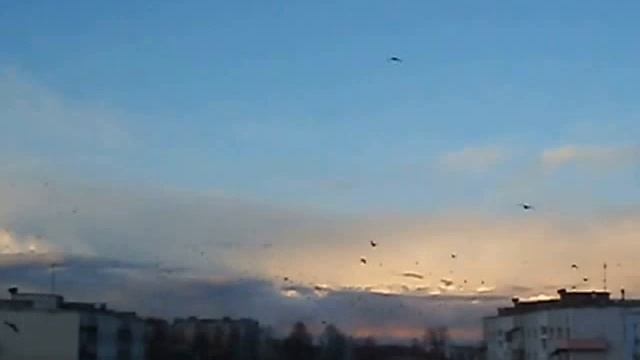 Вороны летят смотреть онлайн