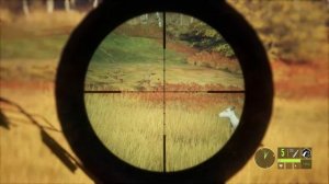 The Hunter Call of the Wild | Маскировка и Манки Обзор