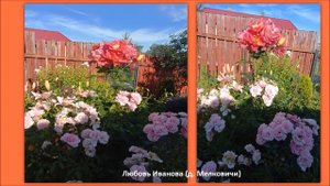 Любимый уголок природы - сад моей мечты