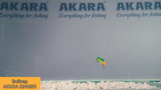 Зимний воблер (раттлин) Akara ZINGER. Обзор эксперта. смотреть онлайн