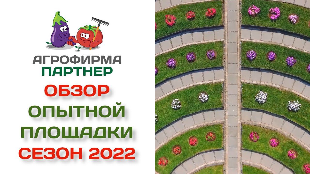 Обзор опытной площадки Агрофирмы Партнёр. Сезон 2022.