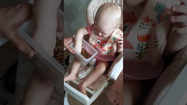 Ребёнок и собачий корм смотреть онлайн