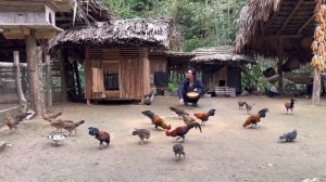 Zon sells wild chickens, vang hoa, king kong amazon