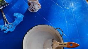 Побелка деревьев в саду осенью