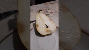 Триумф Пакгама созрел ...