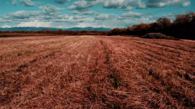 Камчатская осень смотреть онлайн